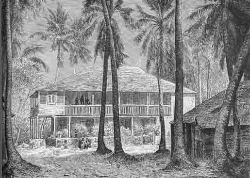 Plantation on Haiti